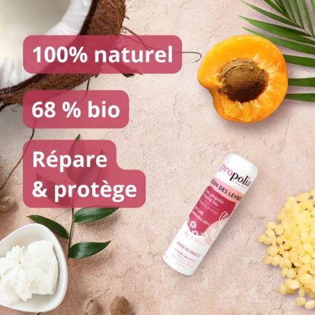 Baume à lèvres Propolis & Karité – Image 3